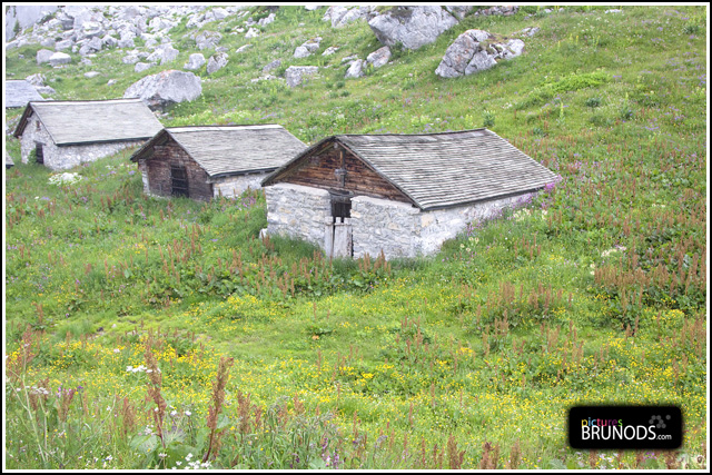 leysin09_05.jpg