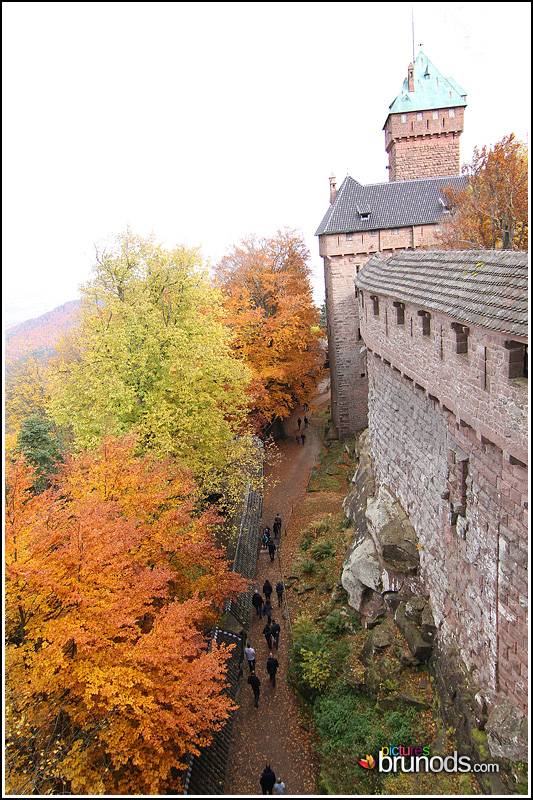 Koenigsbourg_006.JPG