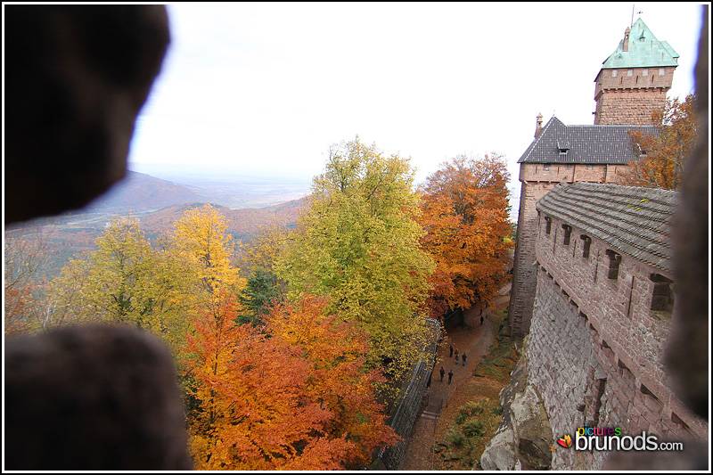 Koenigsbourg_026.JPG