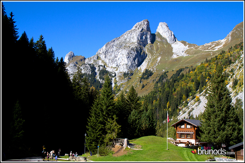 grammont_004.jpg