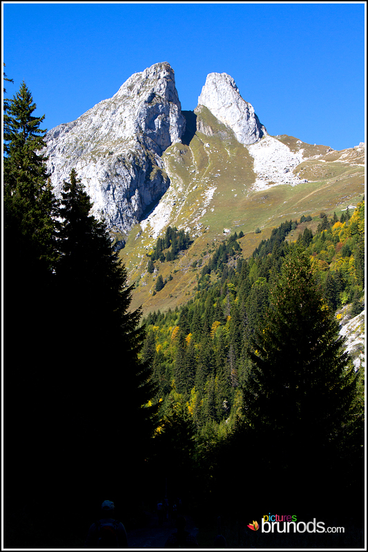 grammont_005.jpg