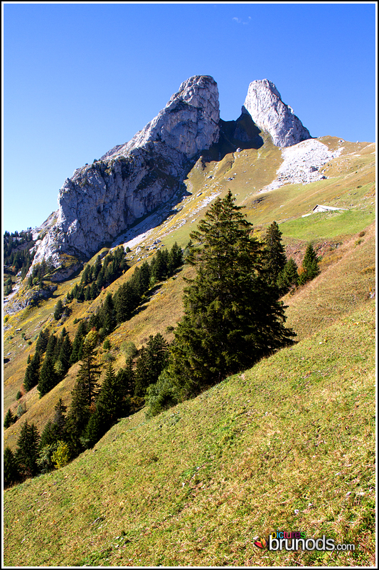 grammont_018.jpg