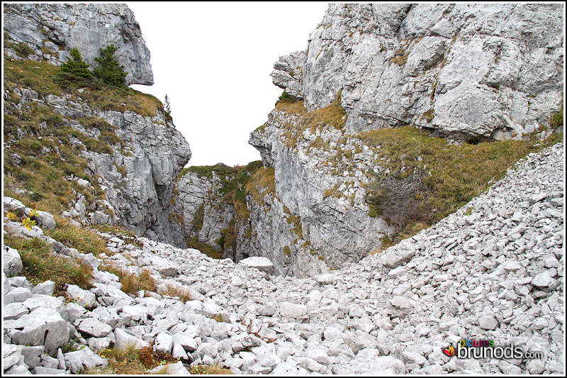 leysin_031.JPG