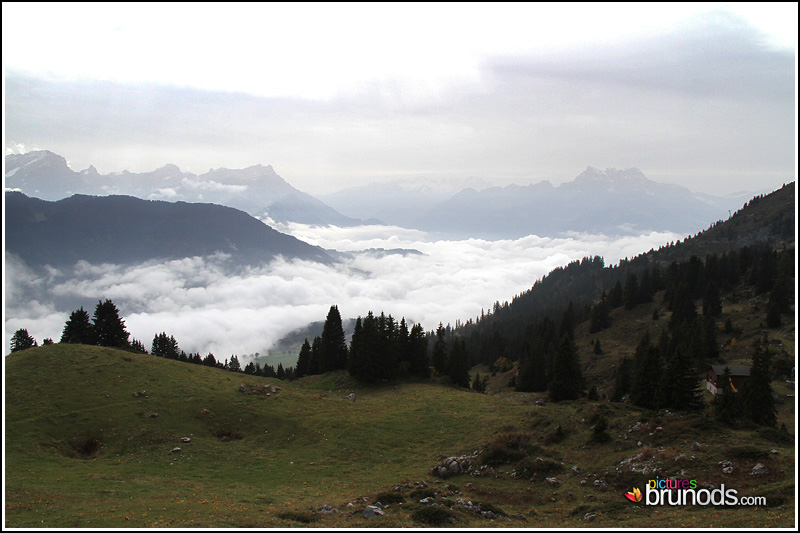 leysin_046.JPG