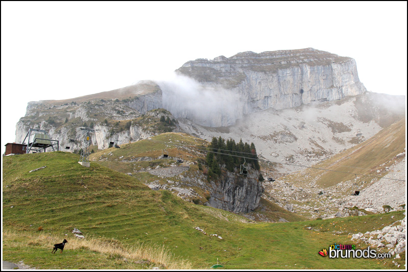 leysin_054.JPG