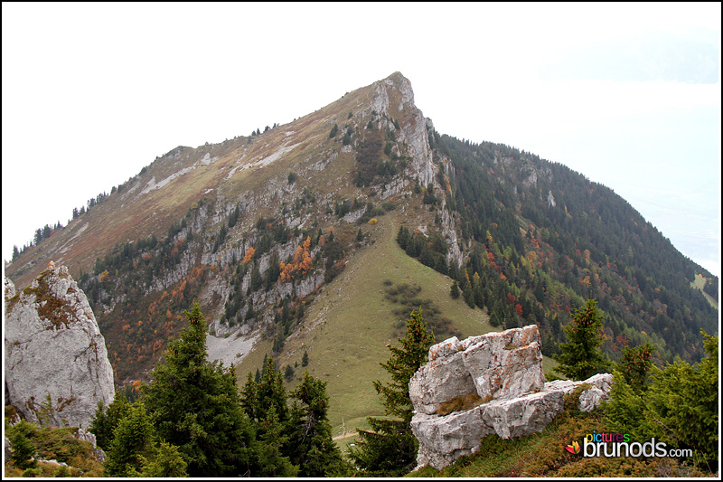 leysin_059.JPG