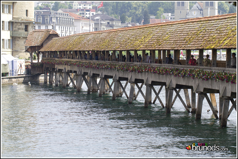 Lucerne