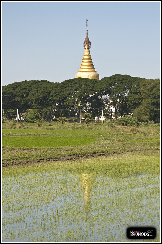 Myanmar_070.JPG