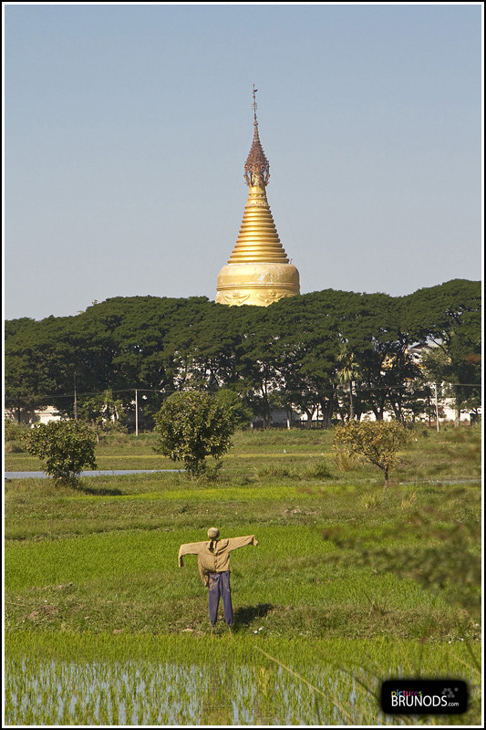 Myanmar_074.JPG