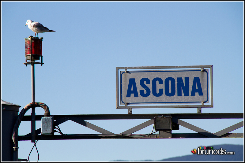 ascona_010.jpg