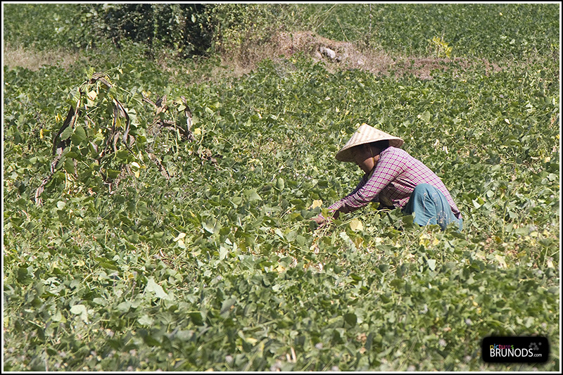 Myanmar_076.JPG