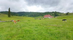 rando-les-croisettes