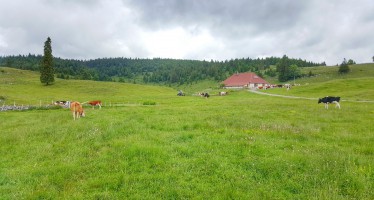 rando-les-croisettes